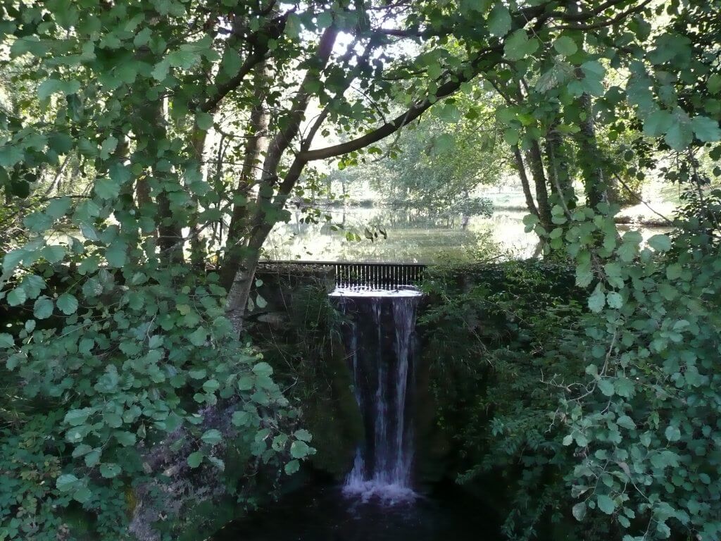 Bonnaud